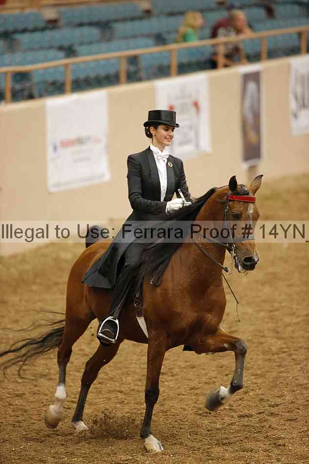 Proof 14yn_09857