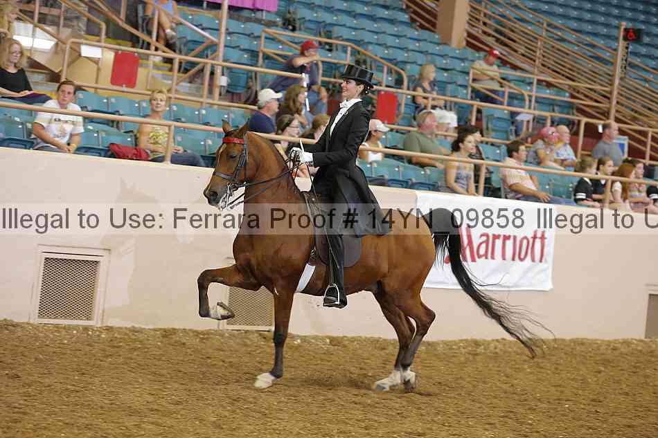 Proof 14yn_09858