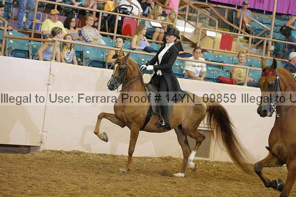 Proof 14yn_09859