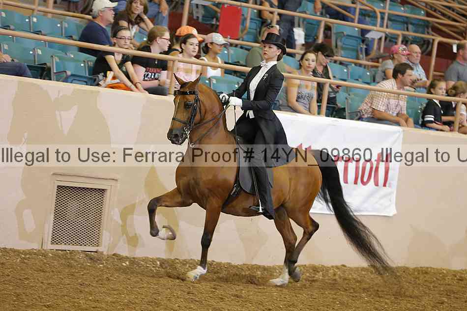 Proof 14yn_09860