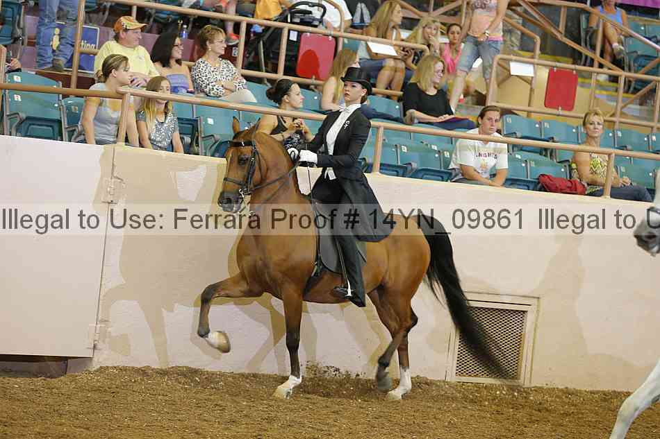 Proof 14yn_09861