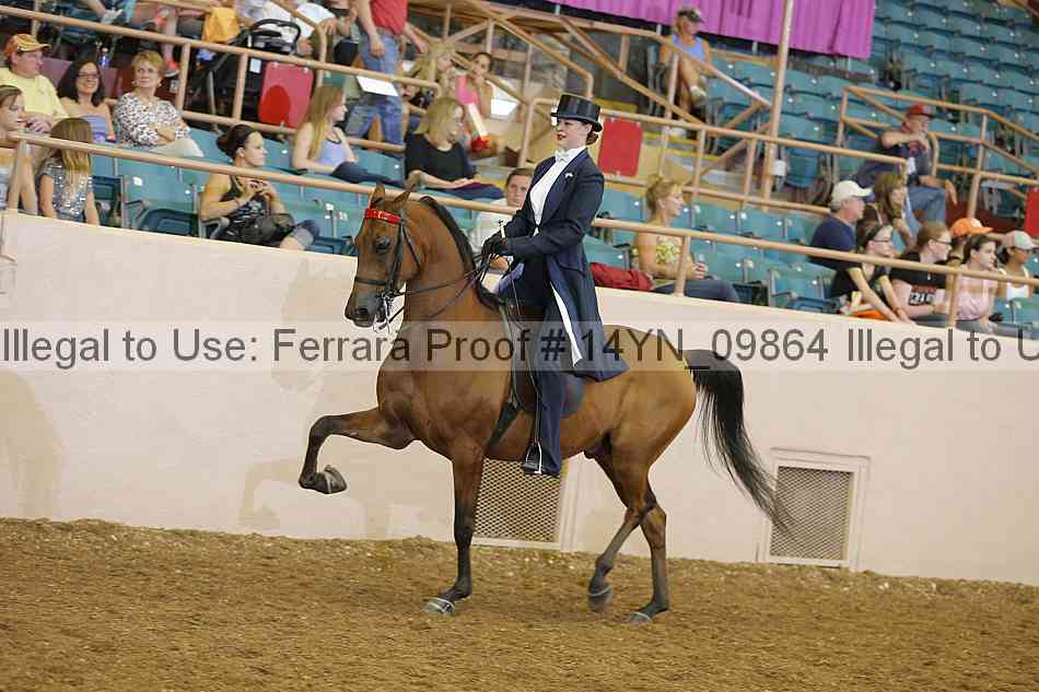 Proof 14yn_09864