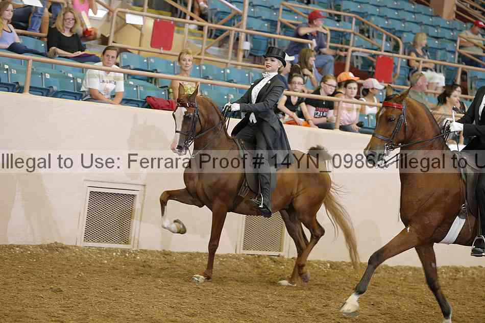 Proof 14yn_09865