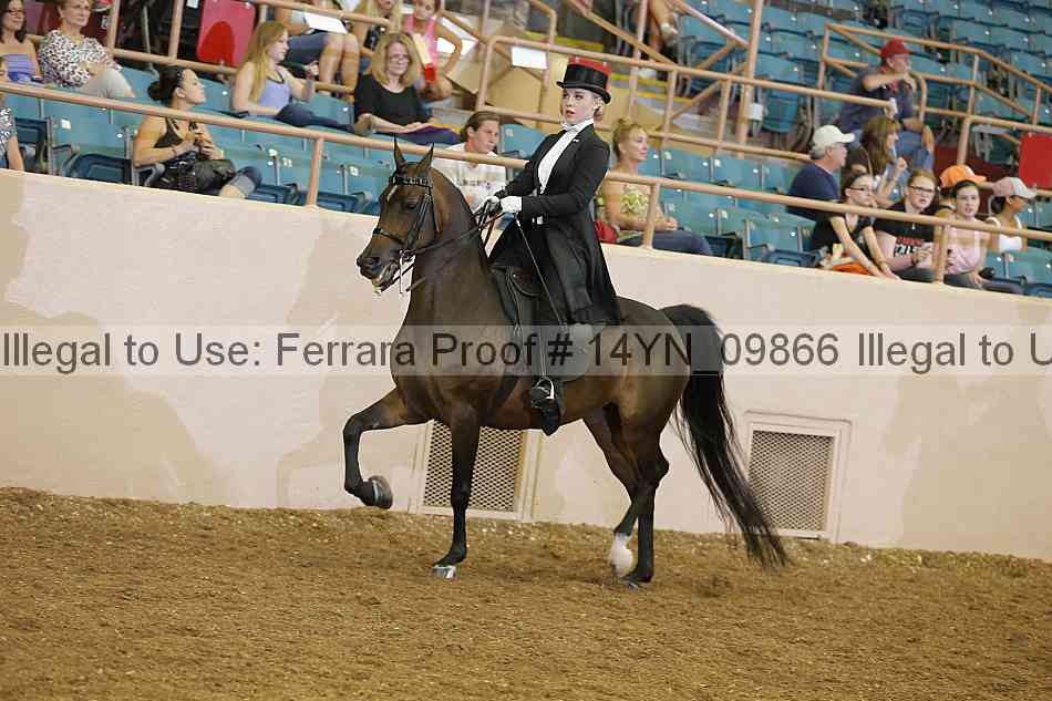 Proof 14yn_09866