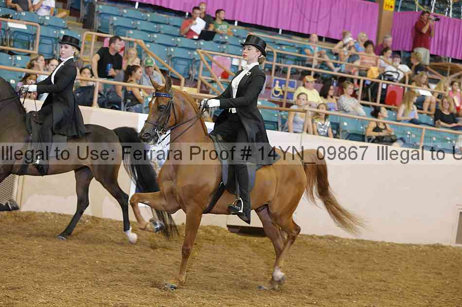 Proof 14yn_09867