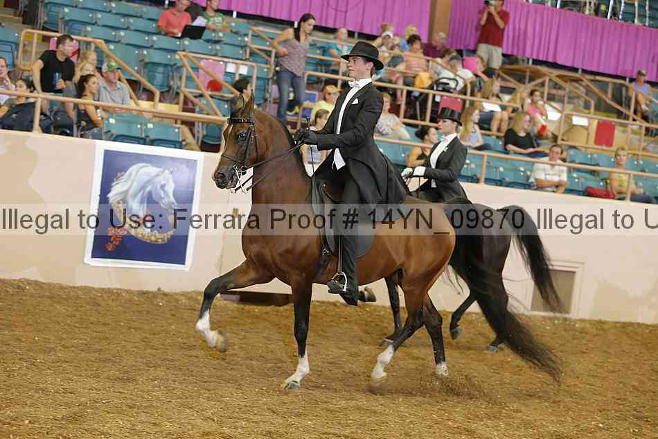 Proof 14yn_09870
