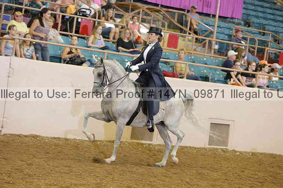 Proof 14yn_09871