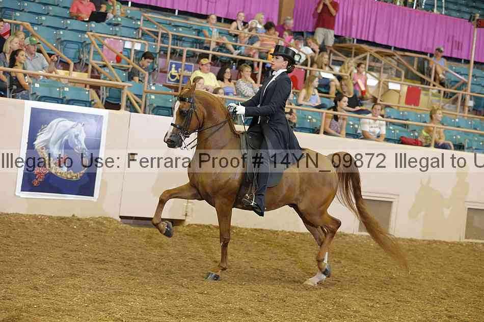 Proof 14yn_09872