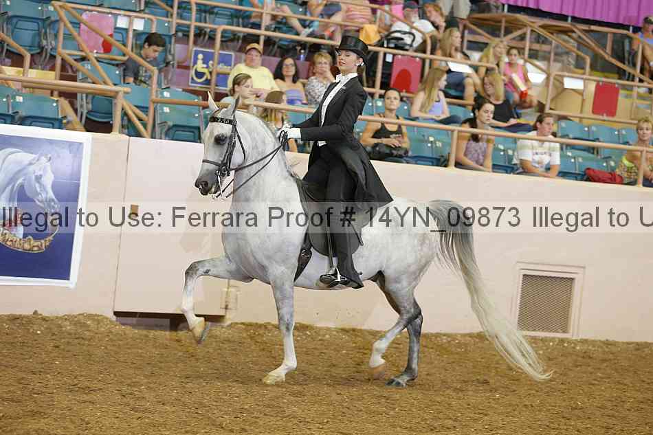 Proof 14yn_09873