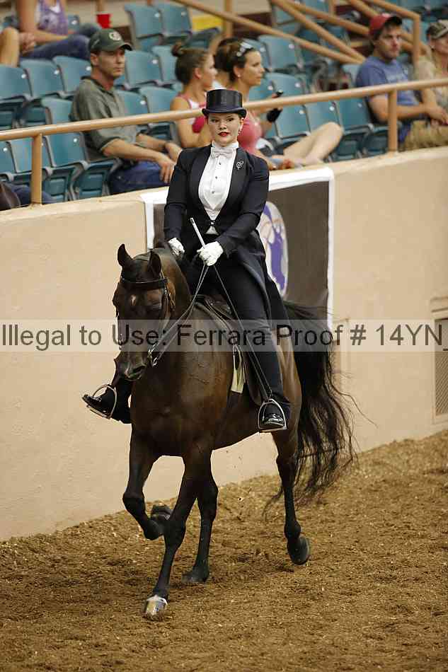 Proof 14yn_09874