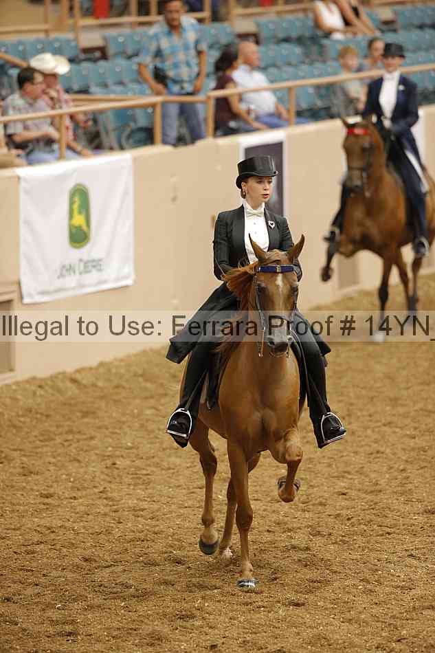 Proof 14yn_09876