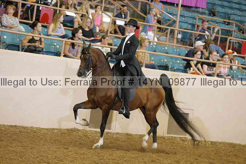 Proof 14yn_09877