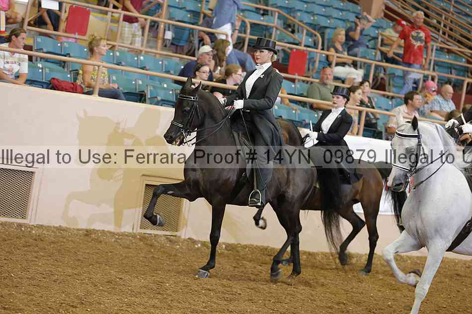 Proof 14yn_09879