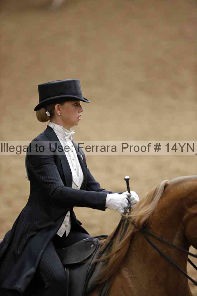 Proof 14yn_09880