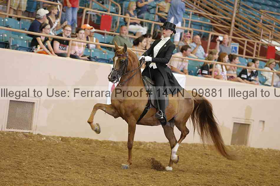 Proof 14yn_09881