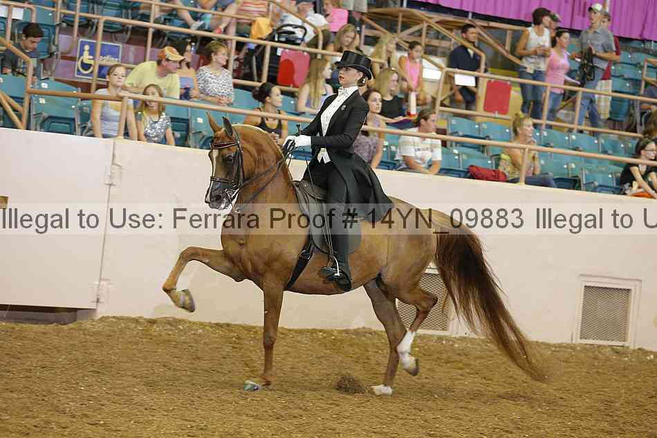 Proof 14yn_09883