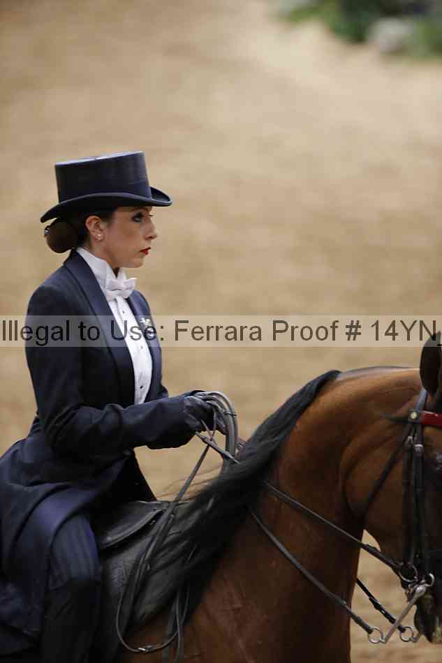 Proof 14yn_09884