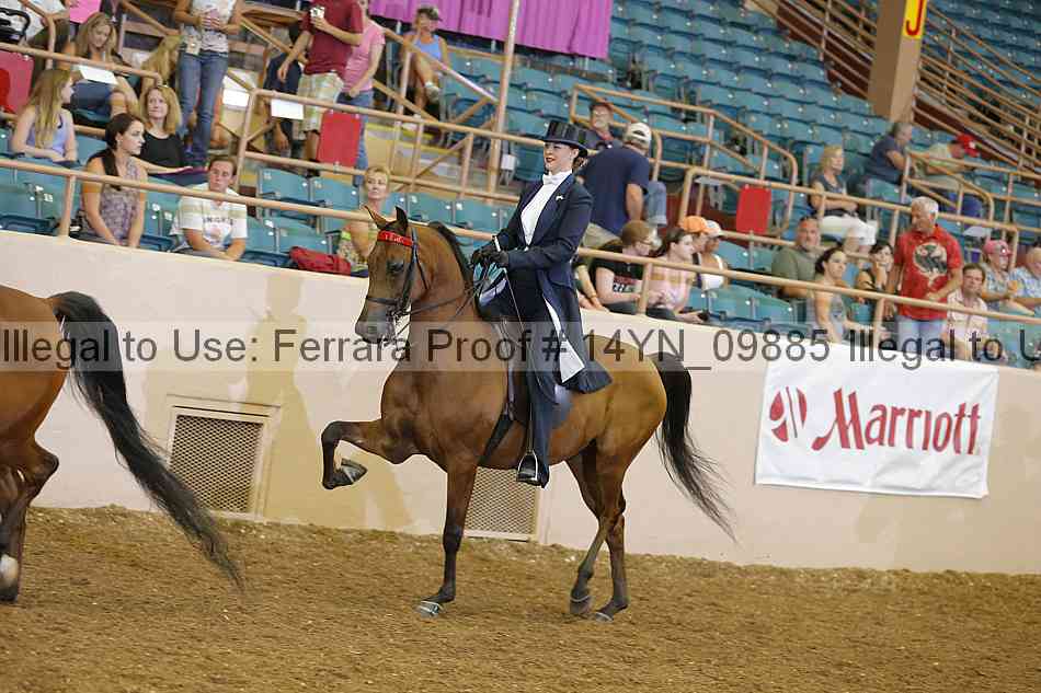 Proof 14yn_09885