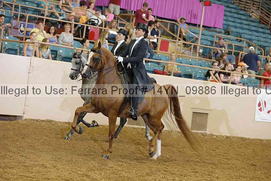 Proof 14yn_09886