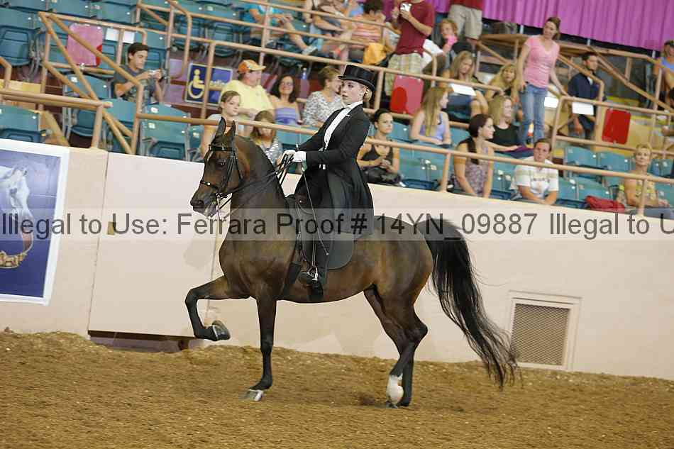 Proof 14yn_09887