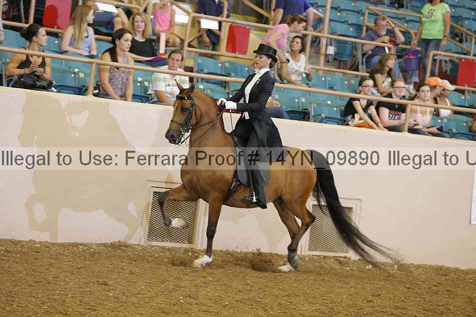 Proof 14yn_09890