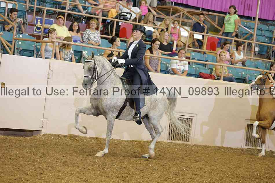 Proof 14yn_09893