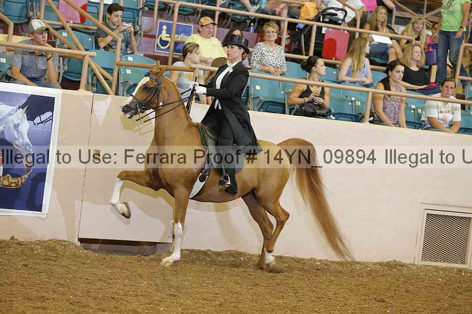 Proof 14yn_09894