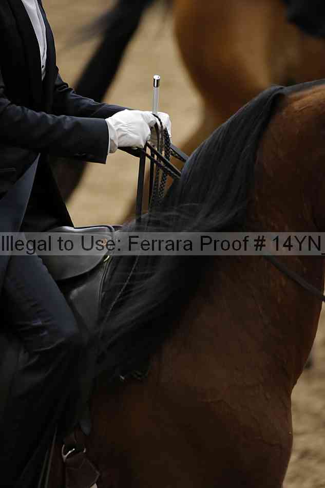 Proof 14yn_09895