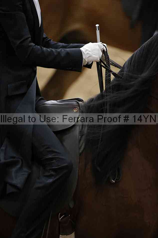 Proof 14yn_09896