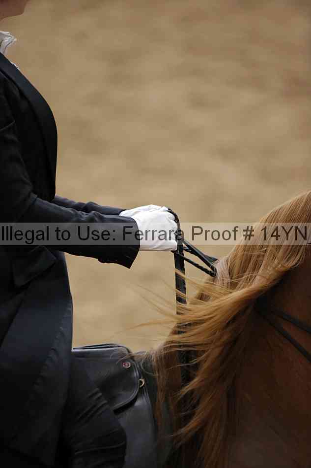 Proof 14yn_09899