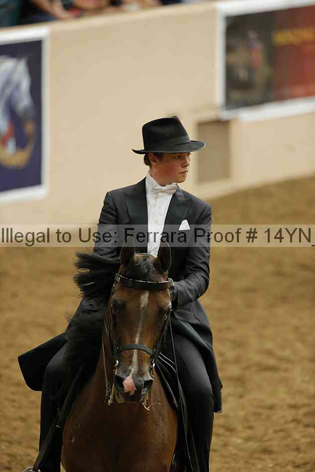 Proof 14yn_09900