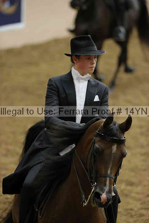 Proof 14yn_09901