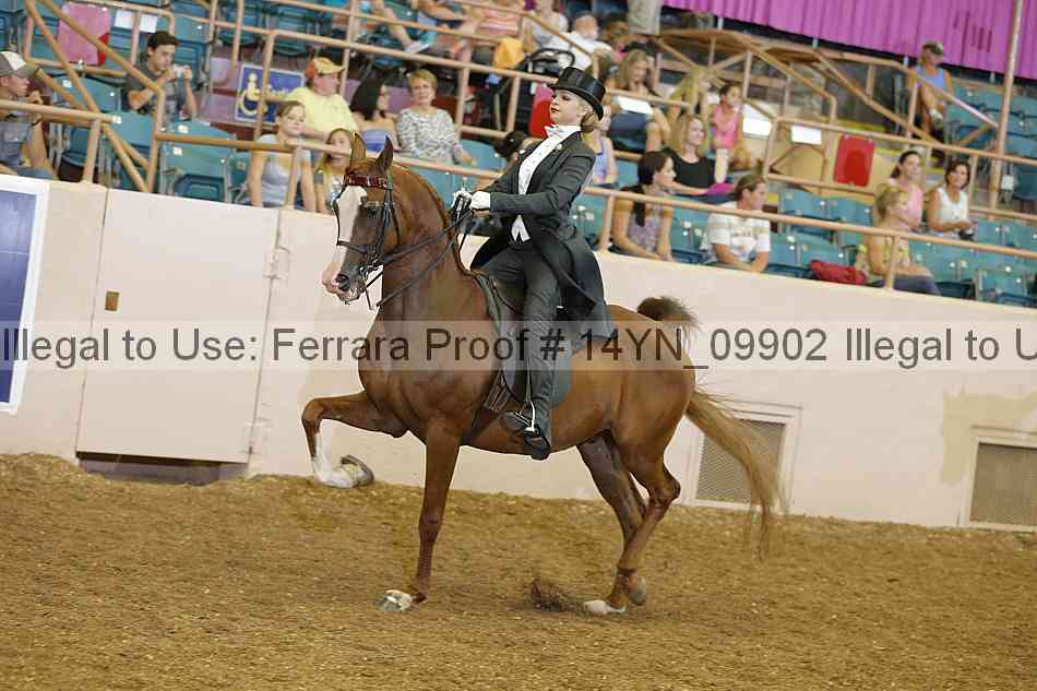 Proof 14yn_09902