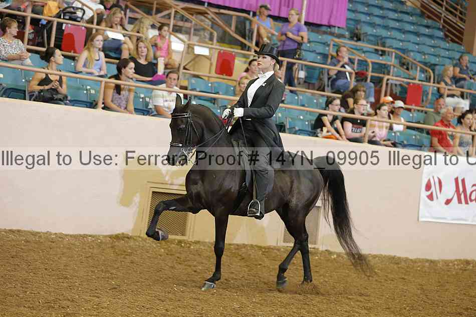 Proof 14yn_09905