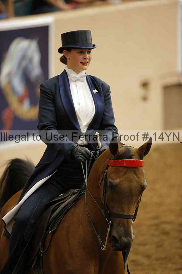 Proof 14yn_09906