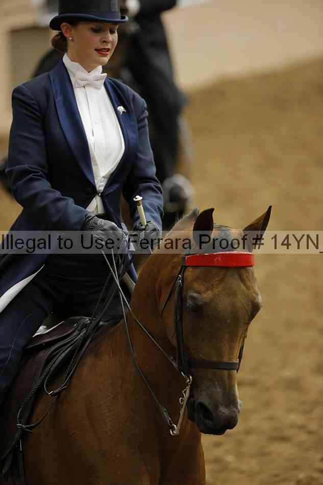 Proof 14yn_09907