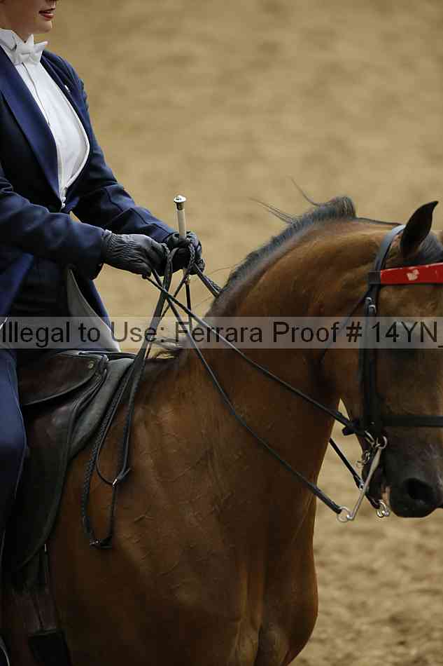 Proof 14yn_09908