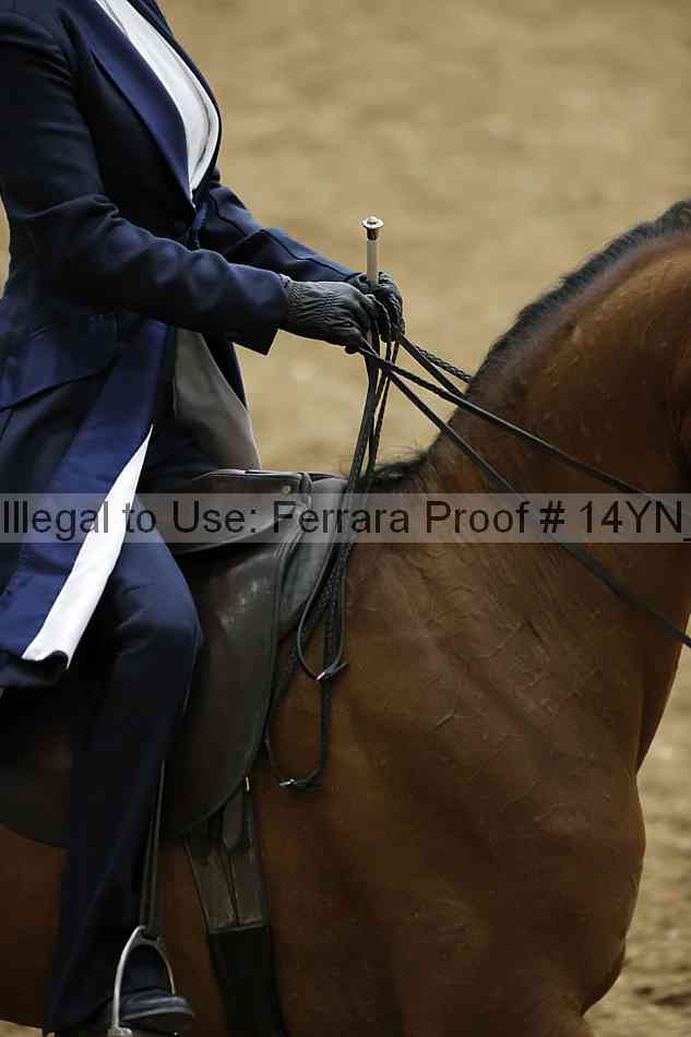 Proof 14yn_09909