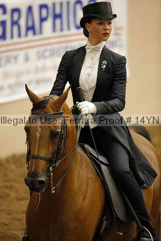 Proof 14yn_09910