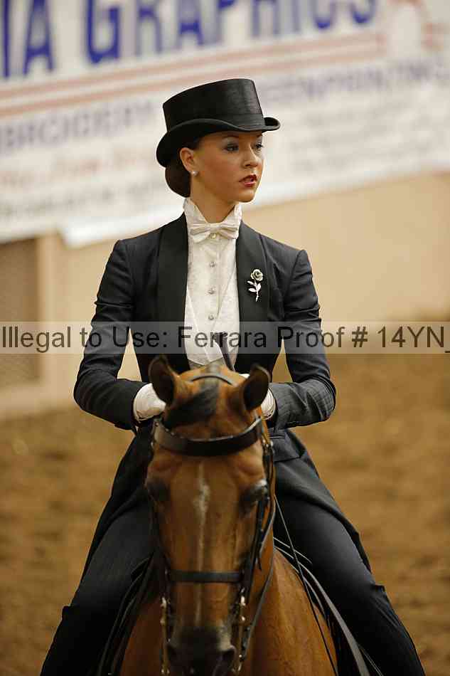 Proof 14yn_09911