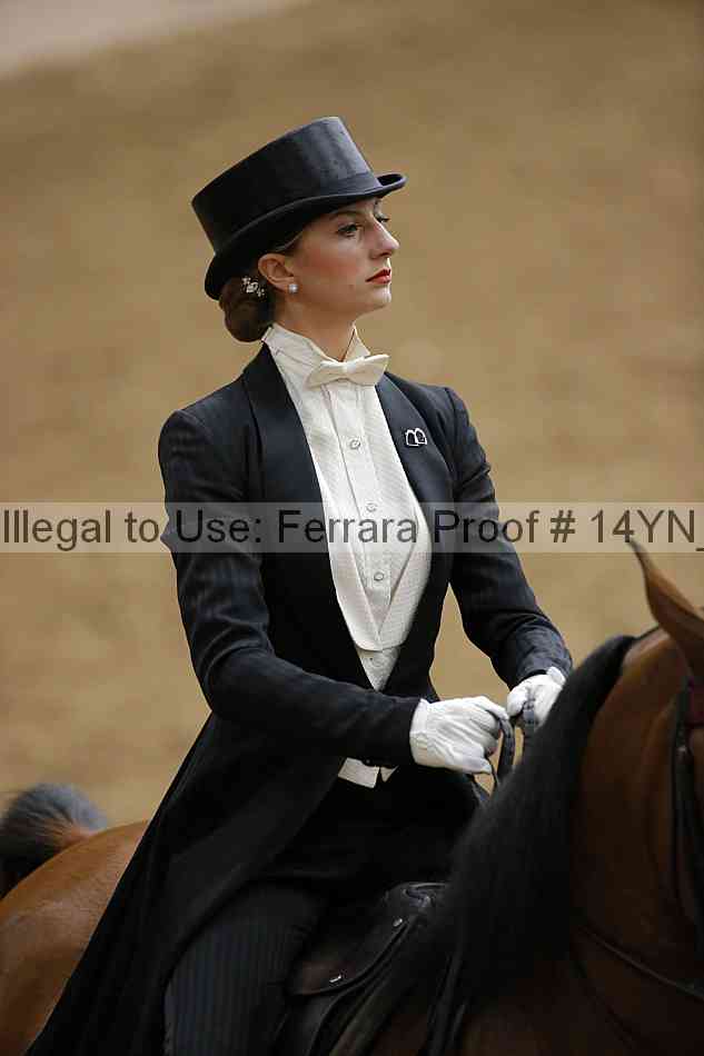 Proof 14yn_09913