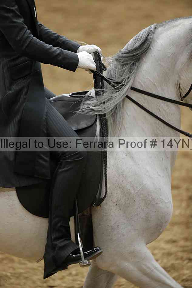 Proof 14yn_09917