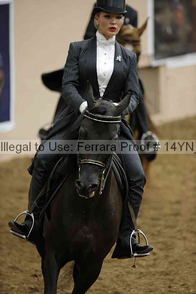 Proof 14yn_09918