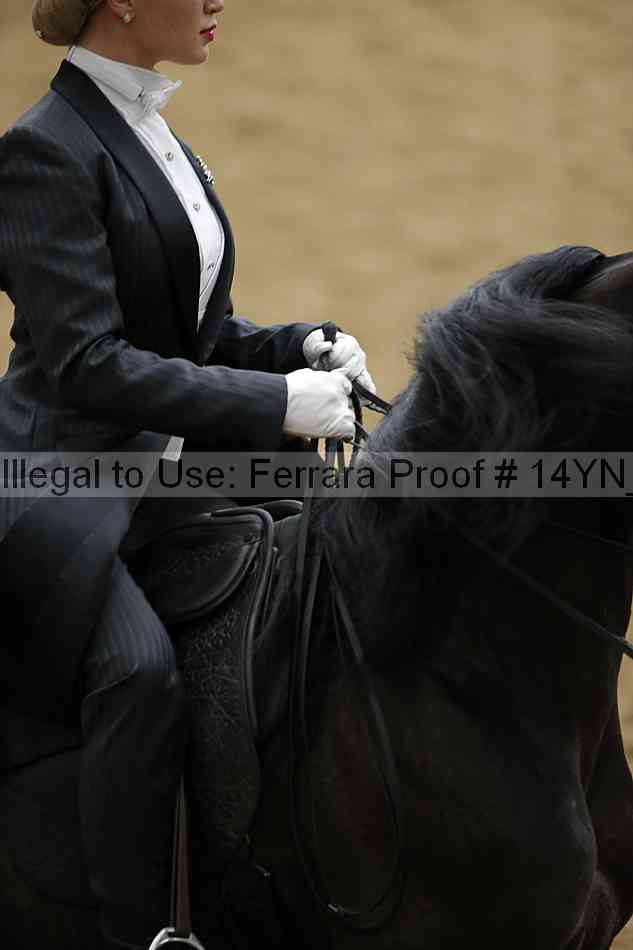 Proof 14yn_09919