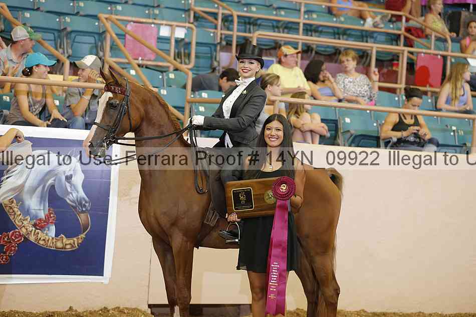 Proof 14yn_09922