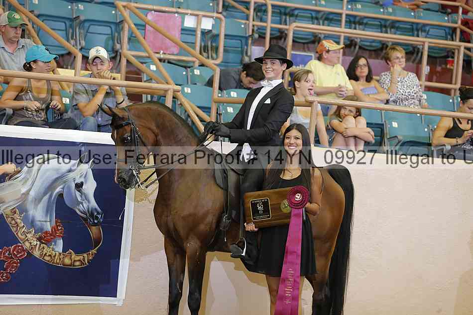 Proof 14yn_09927