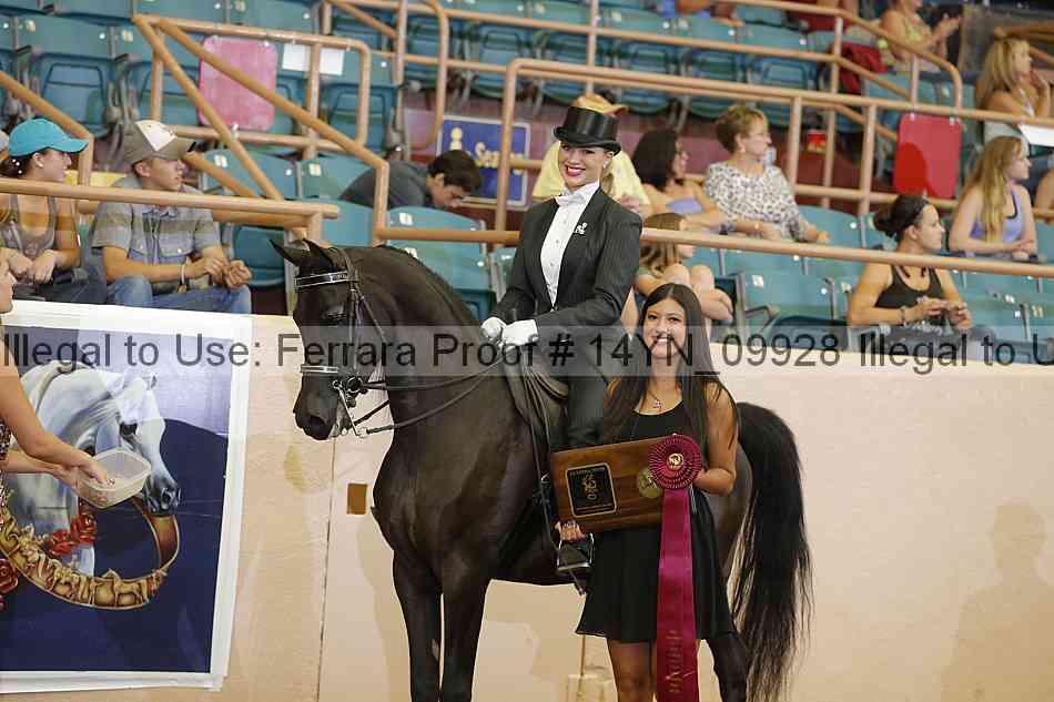 Proof 14yn_09928