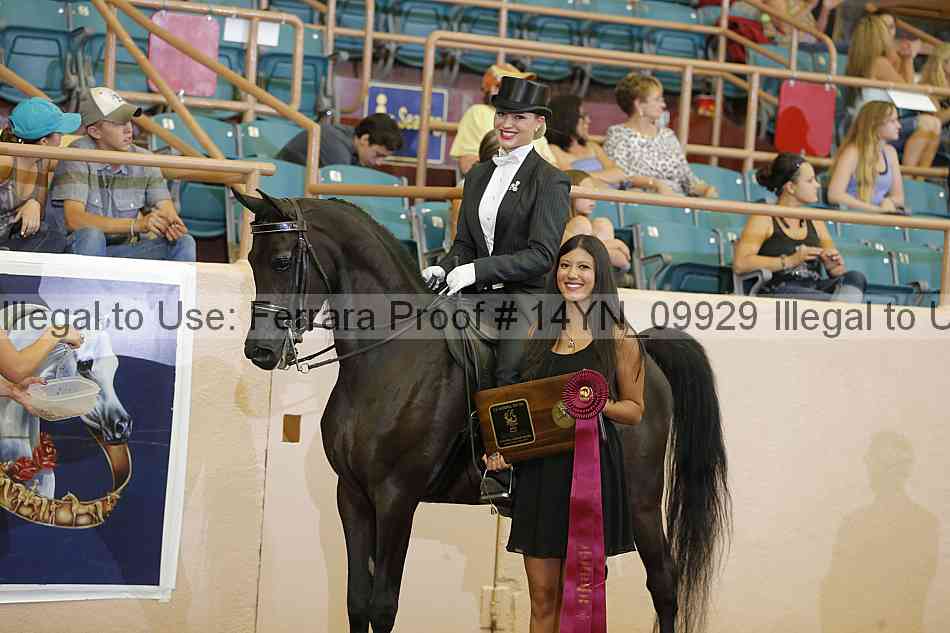 Proof 14yn_09929