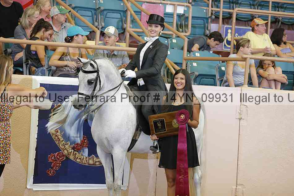 Proof 14yn_09931