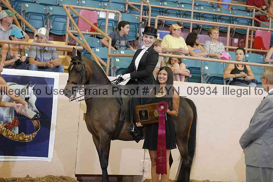 Proof 14yn_09934